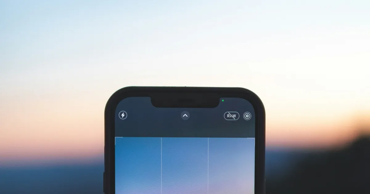 An iPhone held up to photograph trees at sunset